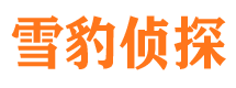 泰山市婚姻出轨调查